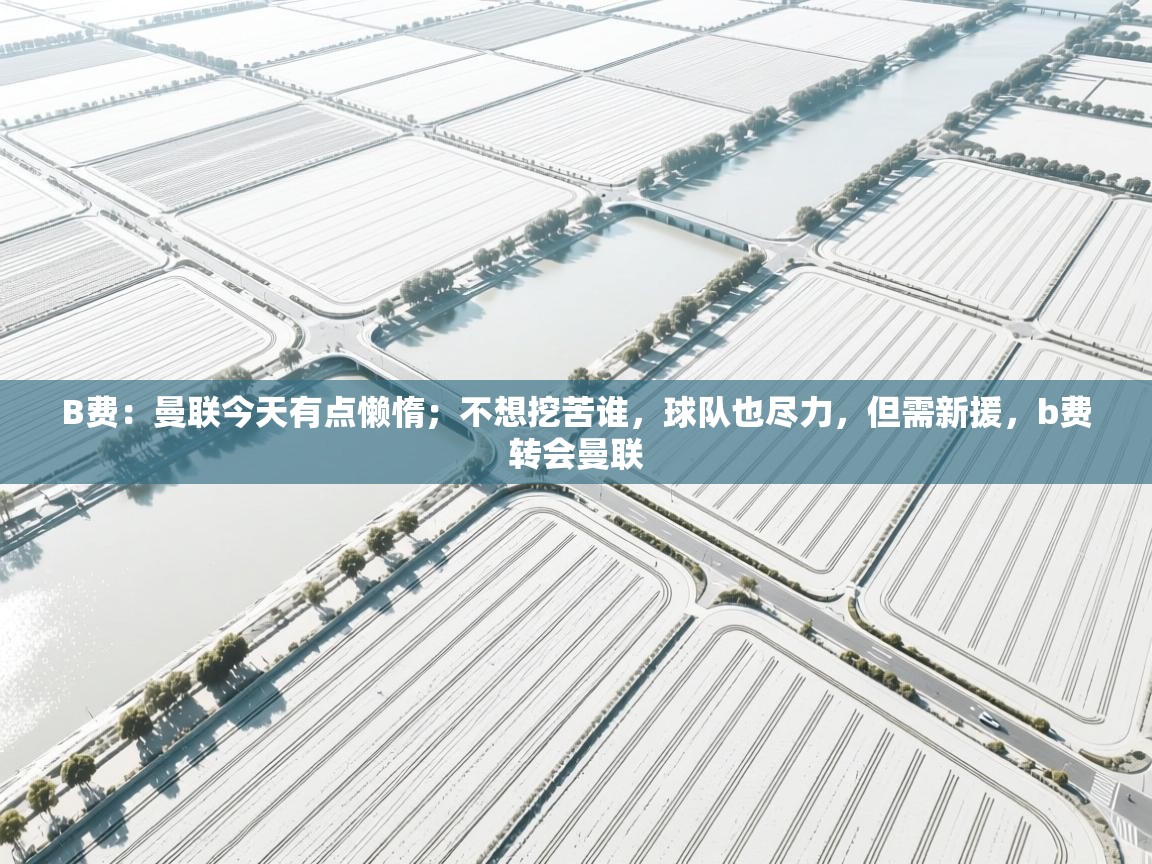 B费:曼联今天有点懒惰;不想挖苦谁,球队也尽力,但需新援,b费转会曼联