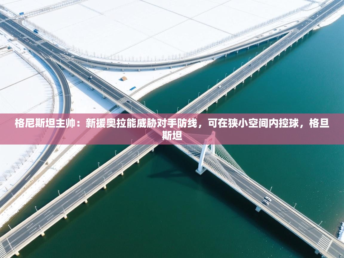 格尼斯坦主帅:新援奥拉能威胁对手防线,可在狭小空间内控球,格旦斯坦 第1张