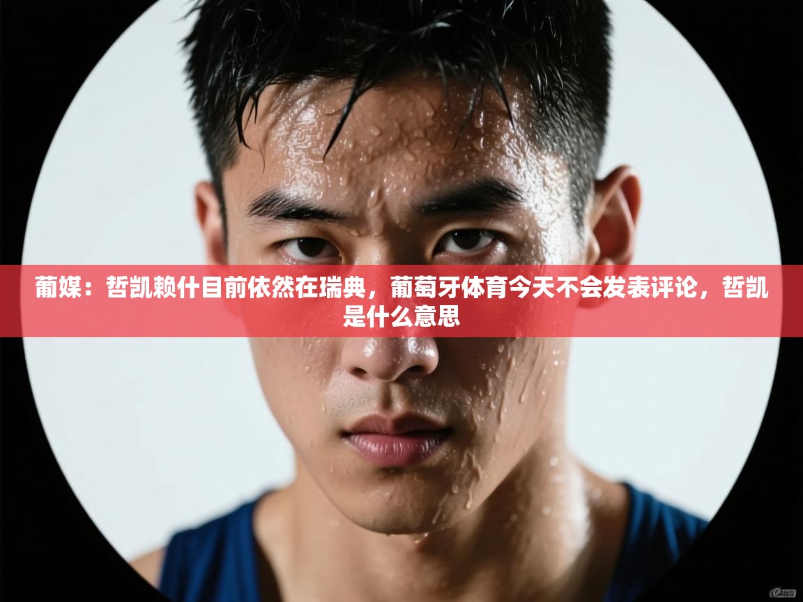 葡媒:哲凯赖什目前依然在瑞典,葡萄牙体育今天不会发表评论,哲凯是什么意思 第2张