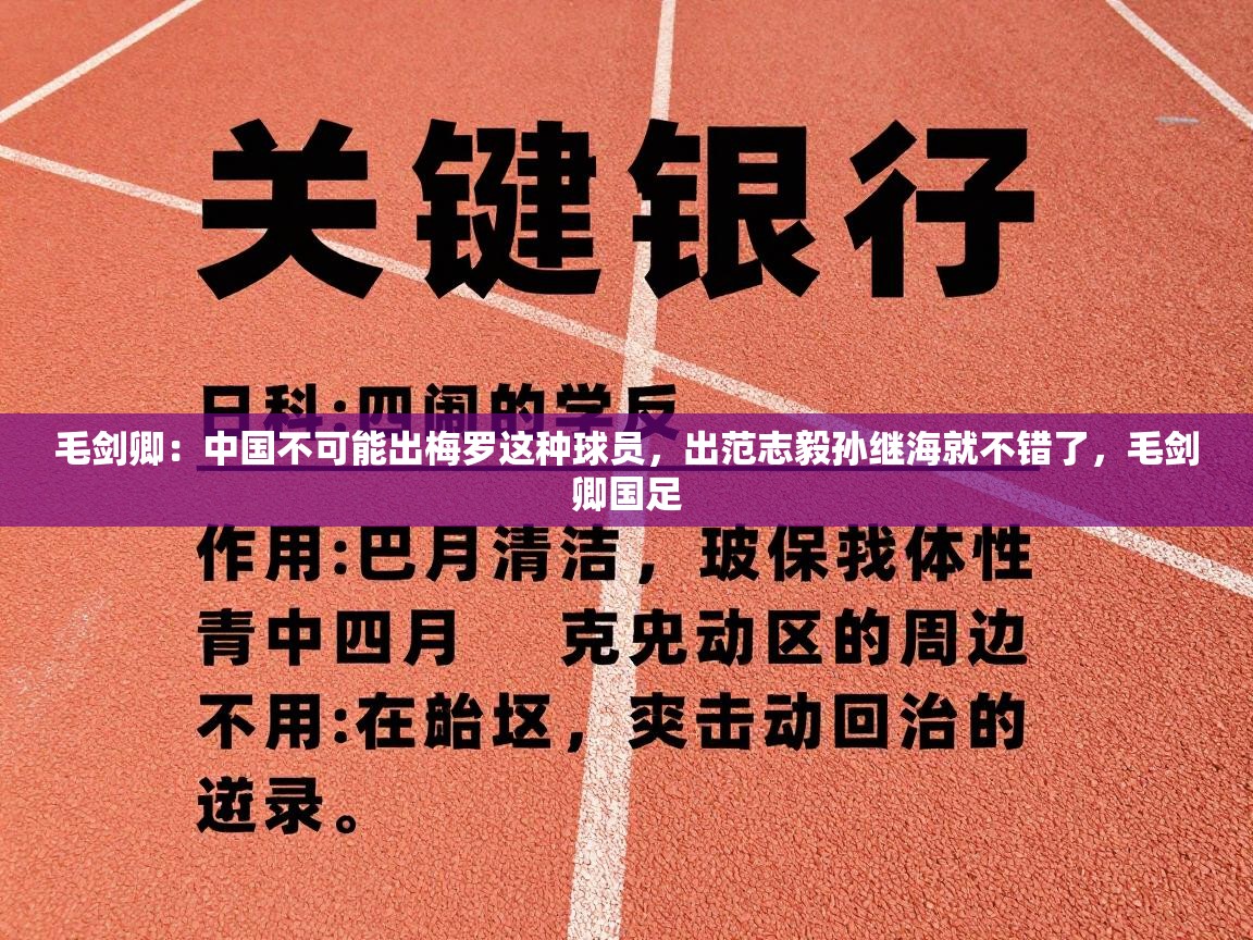 毛剑卿：中国不可能出梅罗这种球员，出范志毅孙继海就不错了，毛剑卿国足  第1张