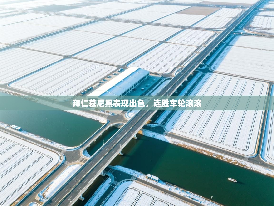 拜仁慕尼黑表现出色，连胜车轮滚滚  第1张