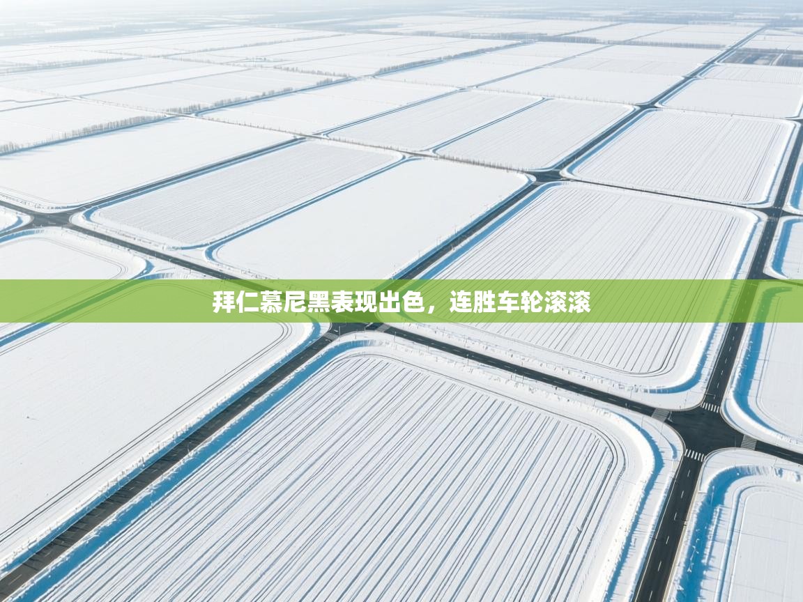 拜仁慕尼黑表现出色，连胜车轮滚滚  第2张