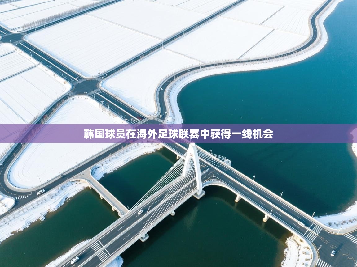 韩国球员在海外足球联赛中获得一线机会 第1张
