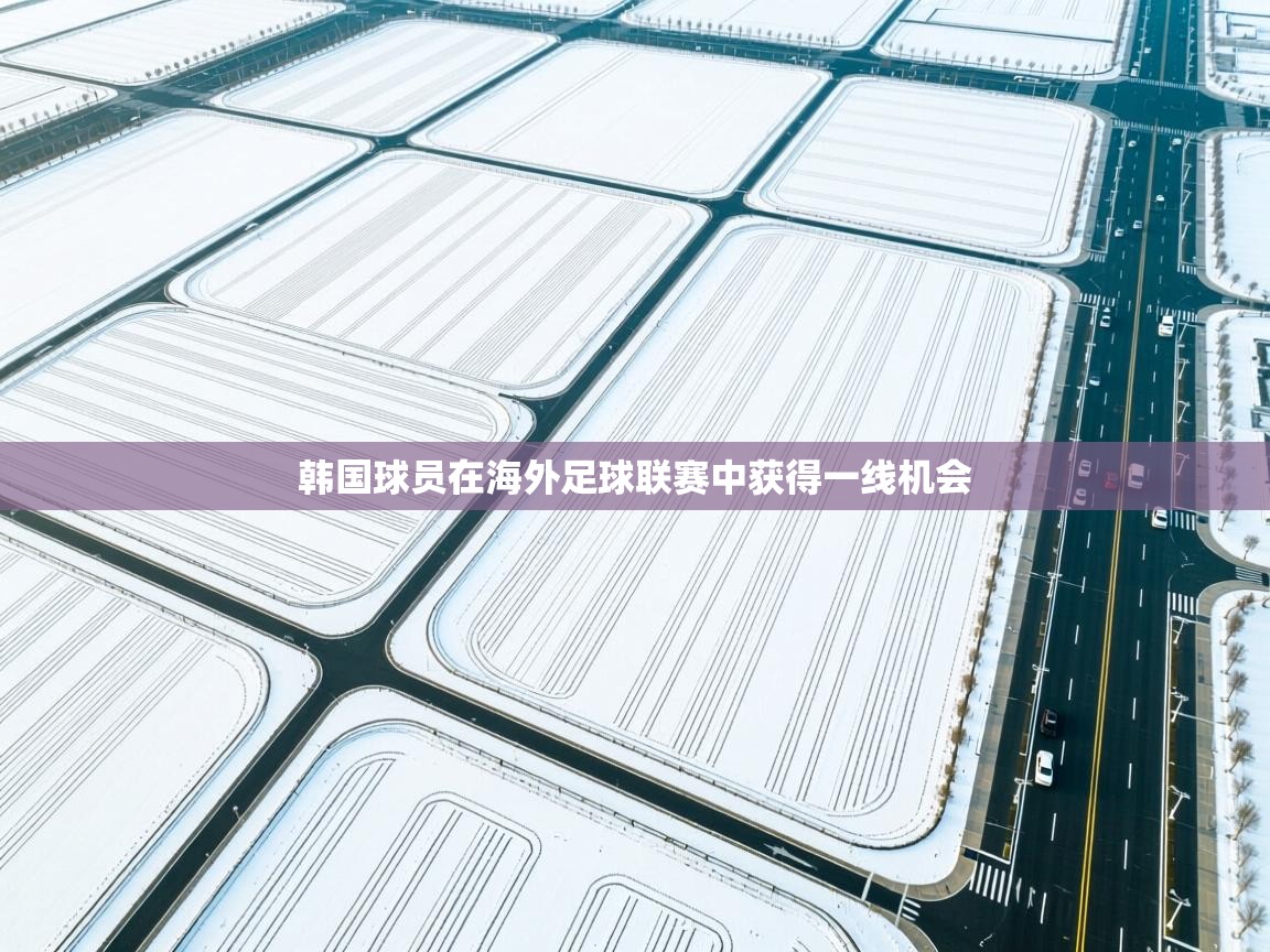 韩国球员在海外足球联赛中获得一线机会 第2张