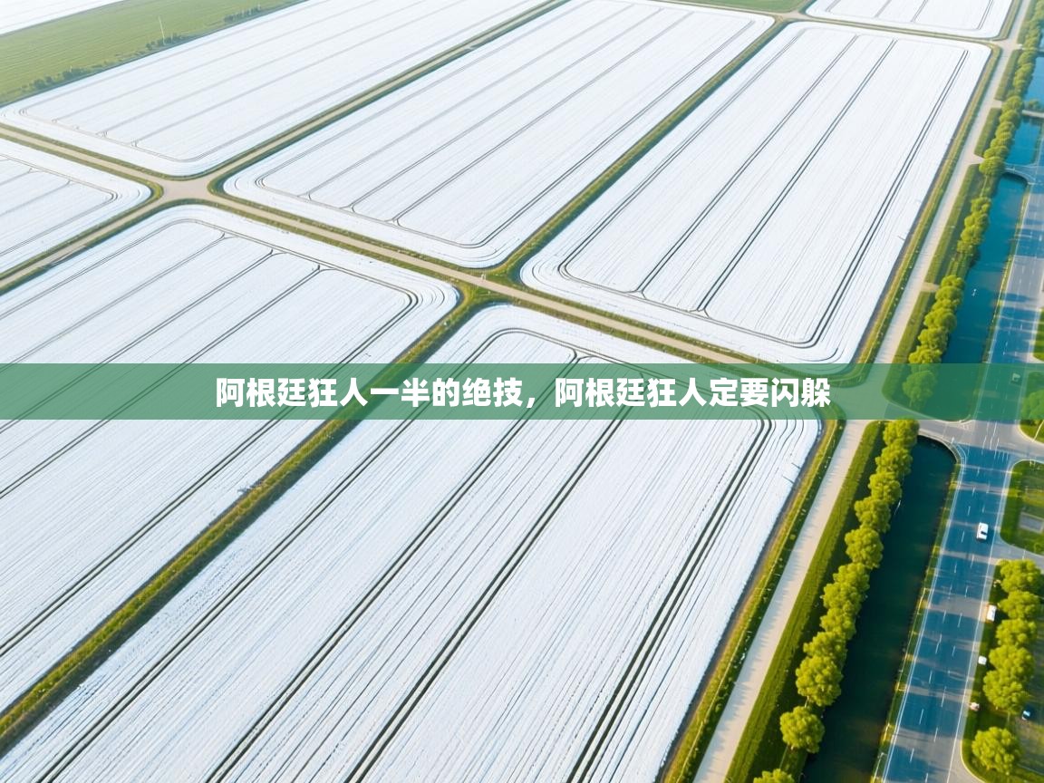 阿根廷狂人一半的绝技，阿根廷狂人定要闪躲  第1张