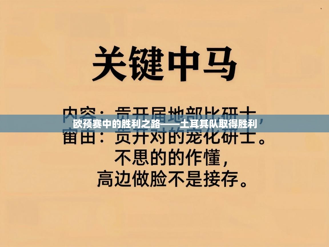 欧预赛中的胜利之路——土耳其队取得胜利  第1张
