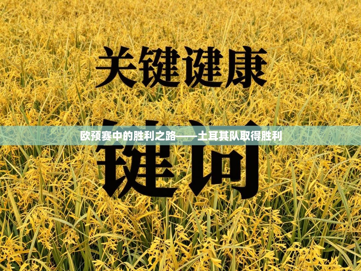 欧预赛中的胜利之路——土耳其队取得胜利  第2张