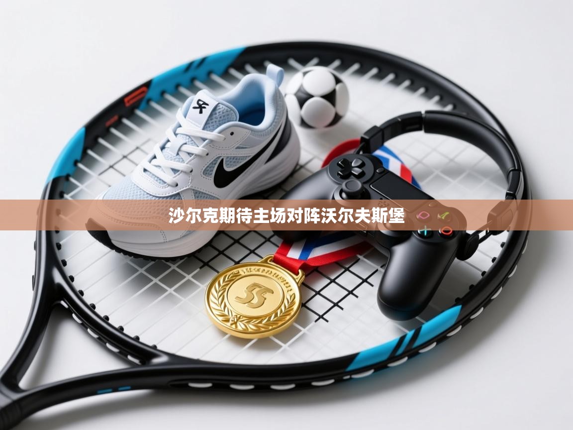 沙尔克期待主场对阵沃尔夫斯堡  第1张