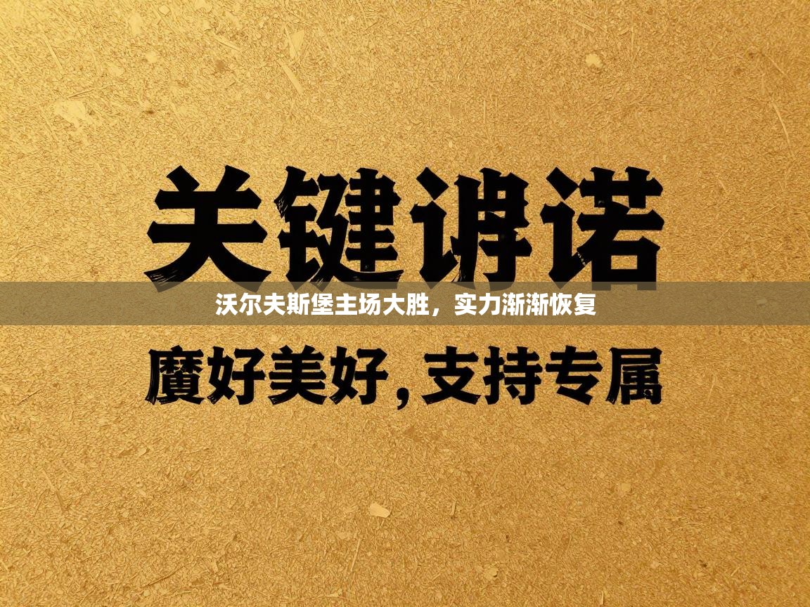 沃尔夫斯堡主场大胜，实力渐渐恢复  第1张