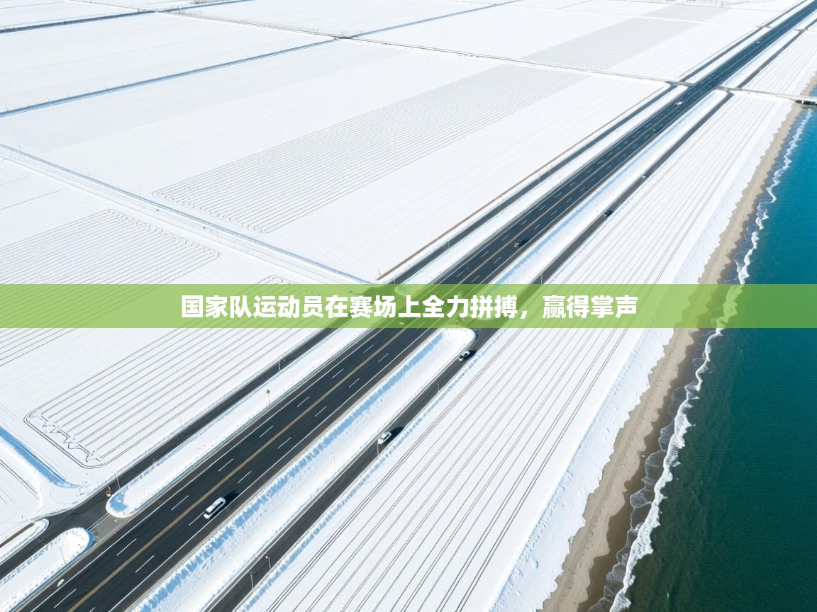 国家队运动员在赛场上全力拼搏,赢得掌声 第1张