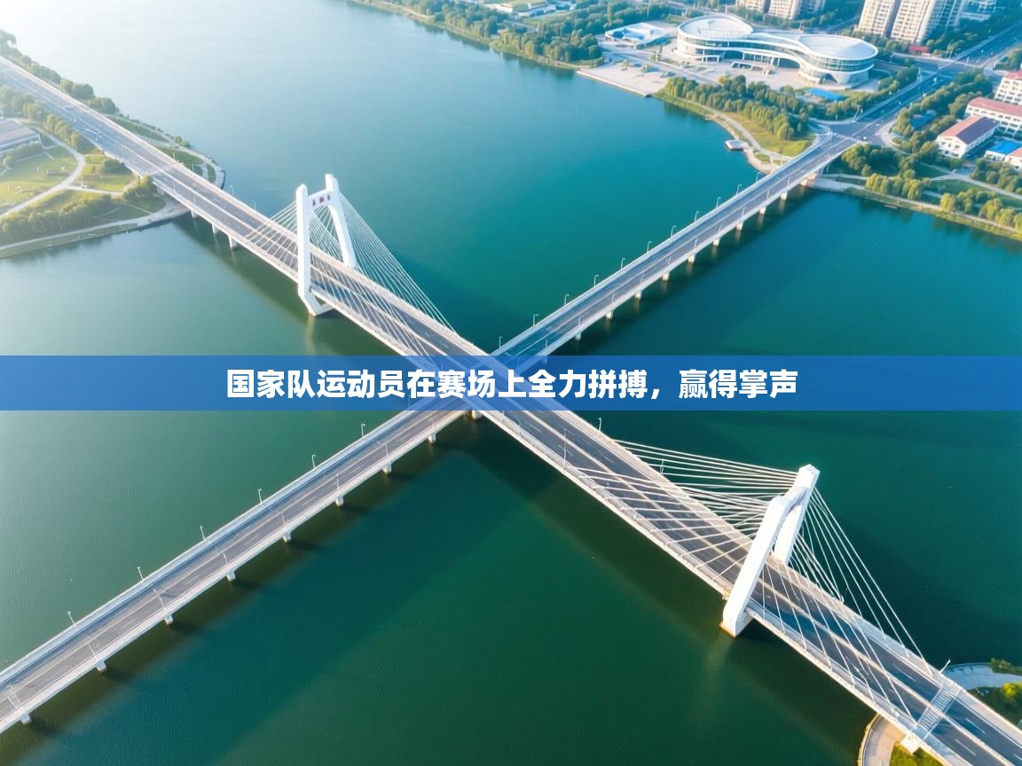 国家队运动员在赛场上全力拼搏,赢得掌声 第2张
