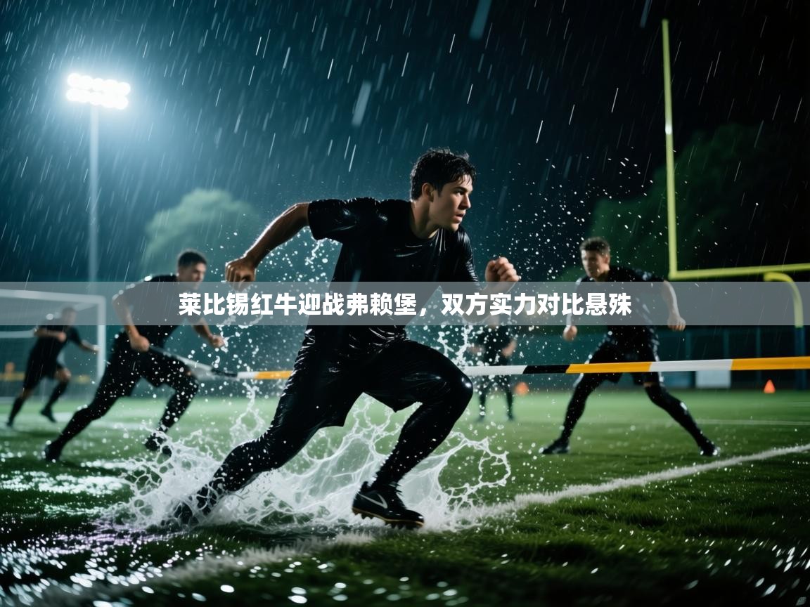 莱比锡红牛迎战弗赖堡,双方实力对比悬殊 第2张