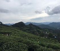 包含湖南蓝箭队全面发力，期待逆袭高峰的词条